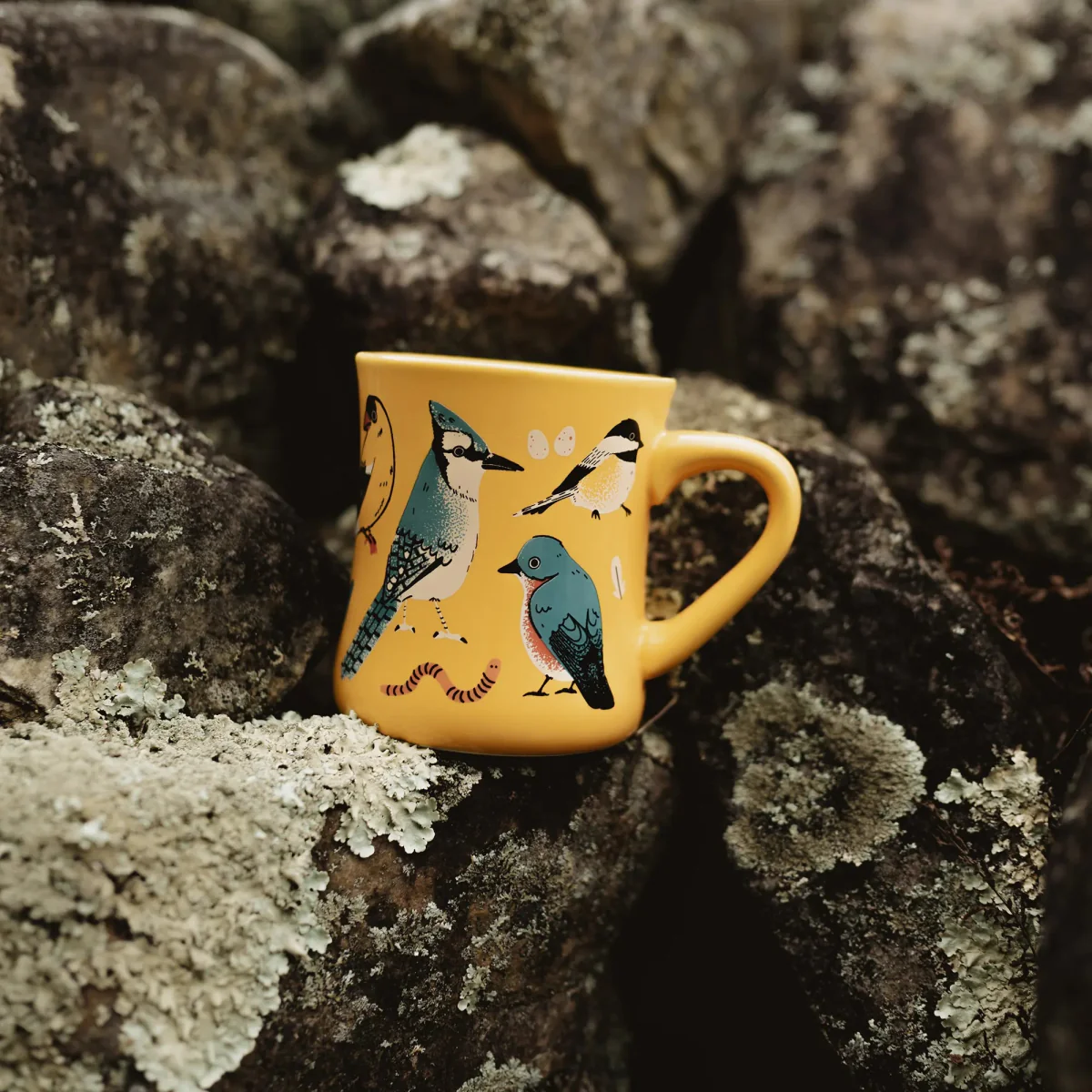 Eastern Backyard Birds Ceramic Mug - Image 8