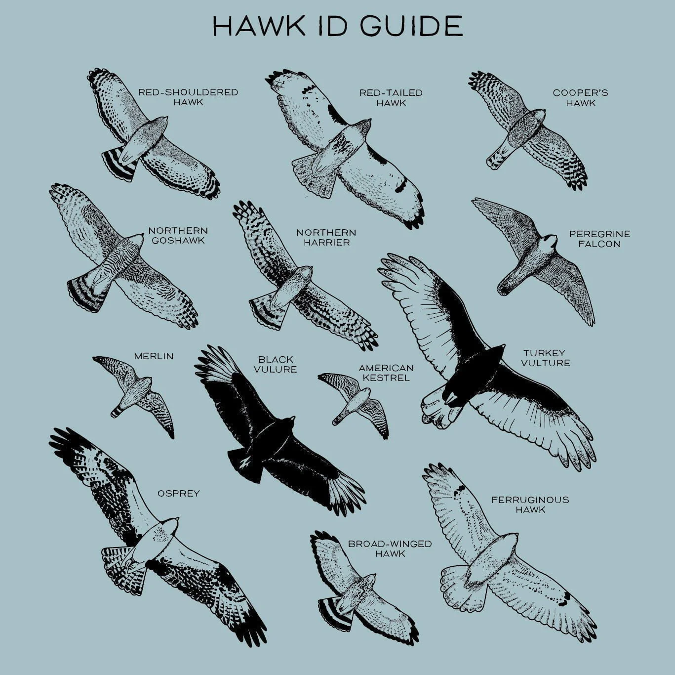 Hawks in Flight Nalgene Water Bottle | Seafoam - Image 4