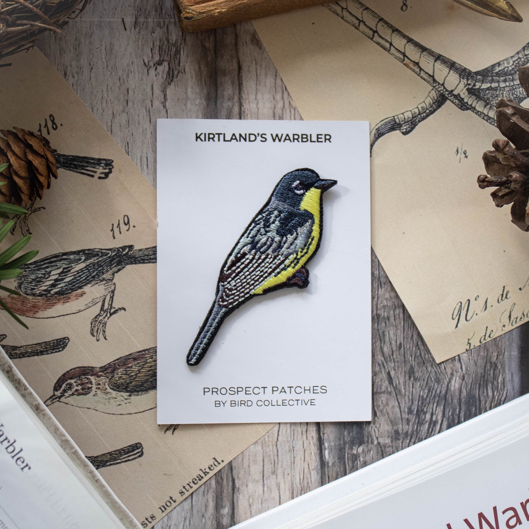 Kirtland's Warbler Patch - Image 3