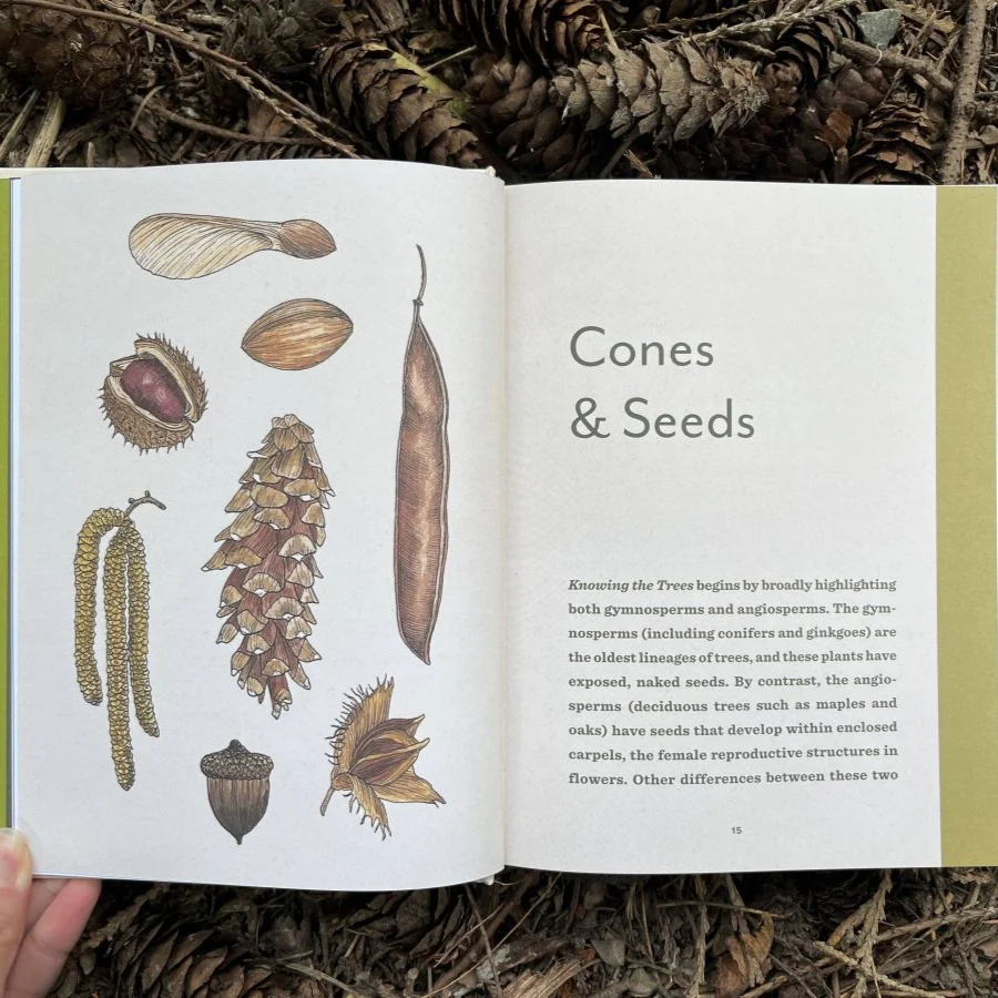 Knowing the Trees - Image 3