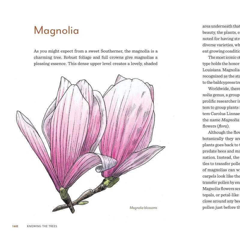 Knowing the Trees - Image 4