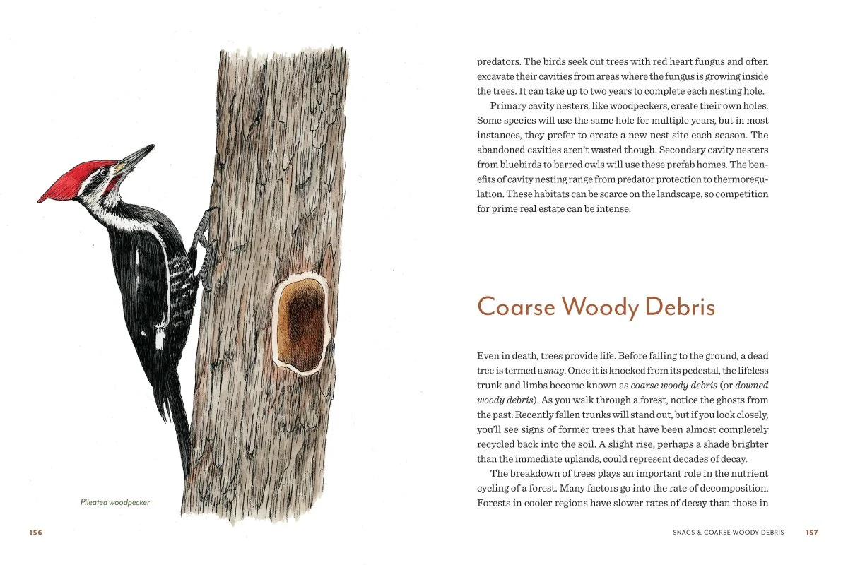 Knowing the Trees - Image 6