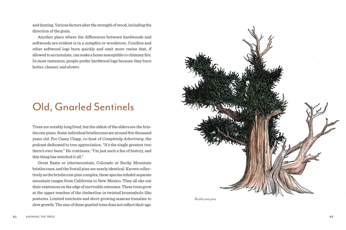 Knowing the Trees - Image 7
