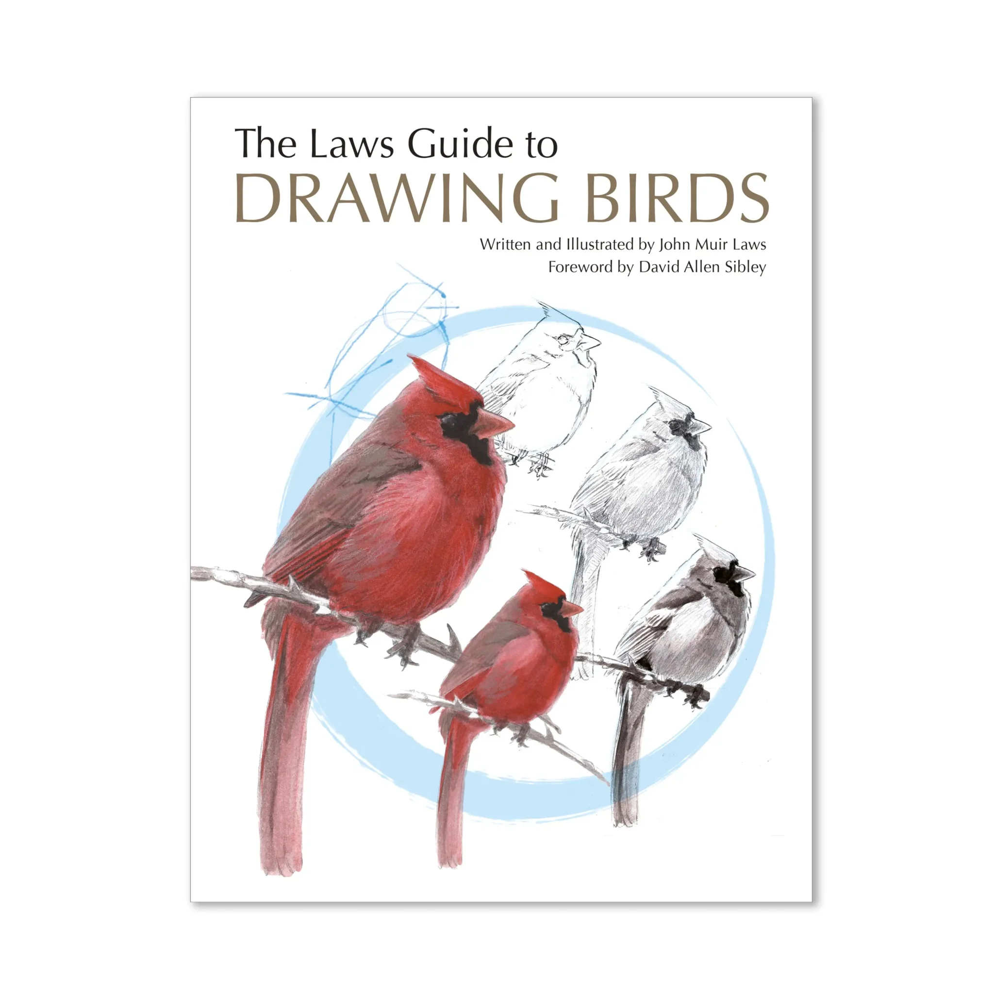 Gifts for the Avid Birder