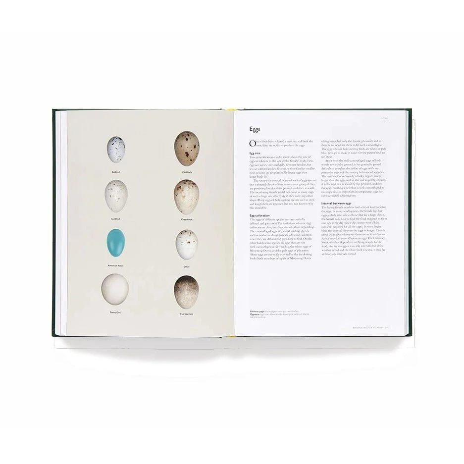 The Backyard Birdwatcher’s Bible - Image 3