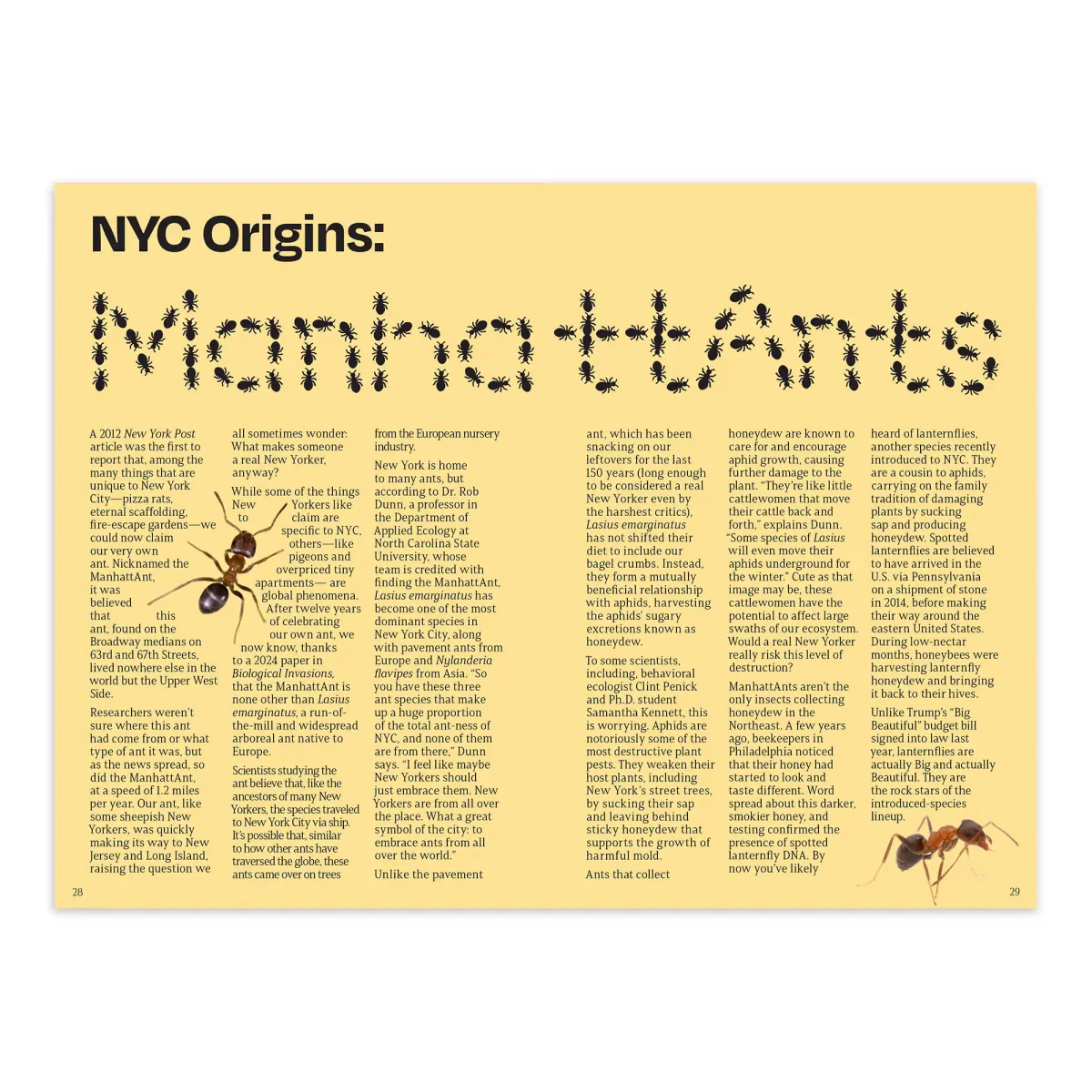 The Other Almanac 2026 - Image 5