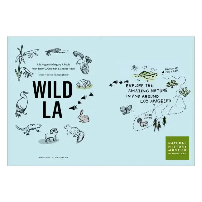 Wild LA - Image 3