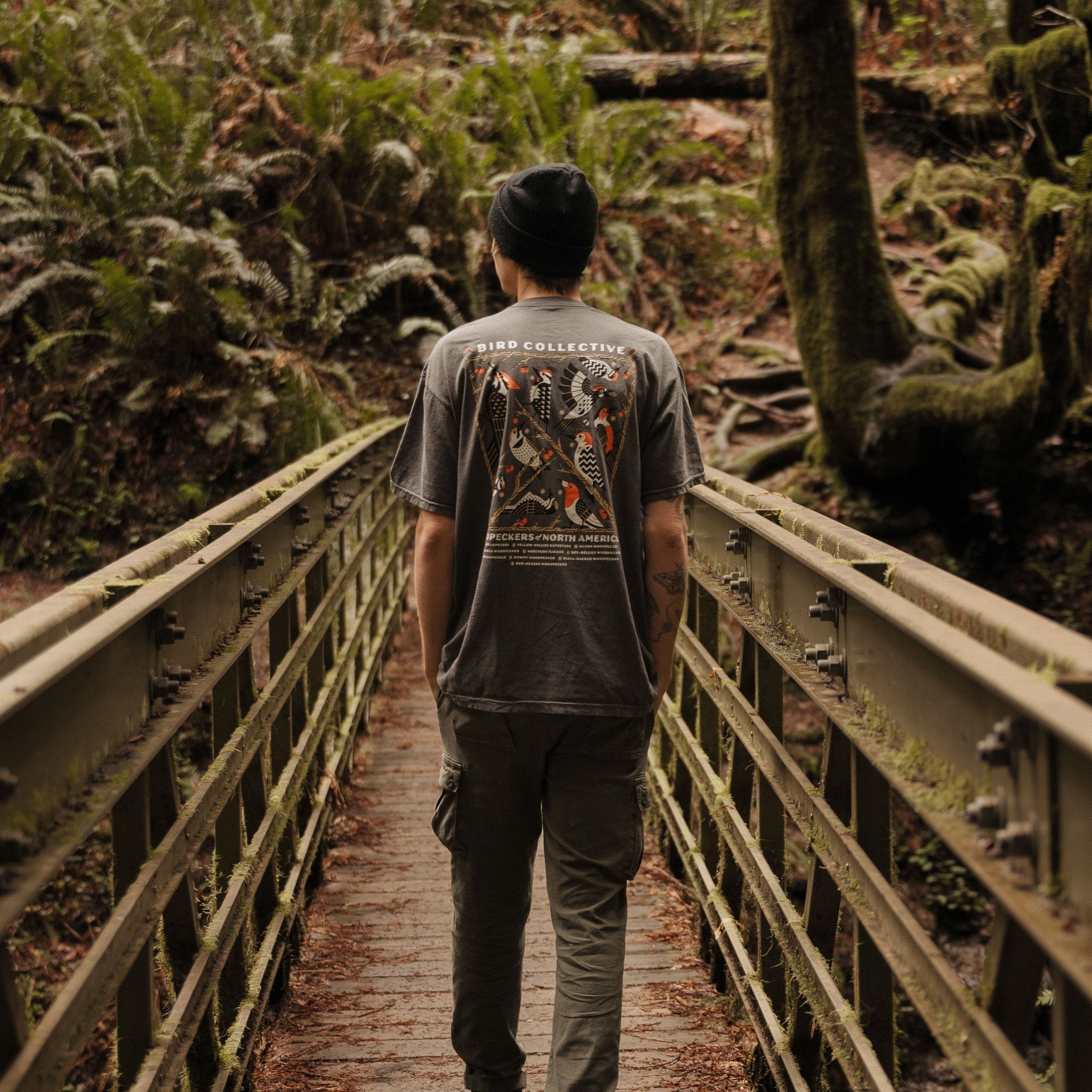 Woodpeckers of North America Tee - Image 3